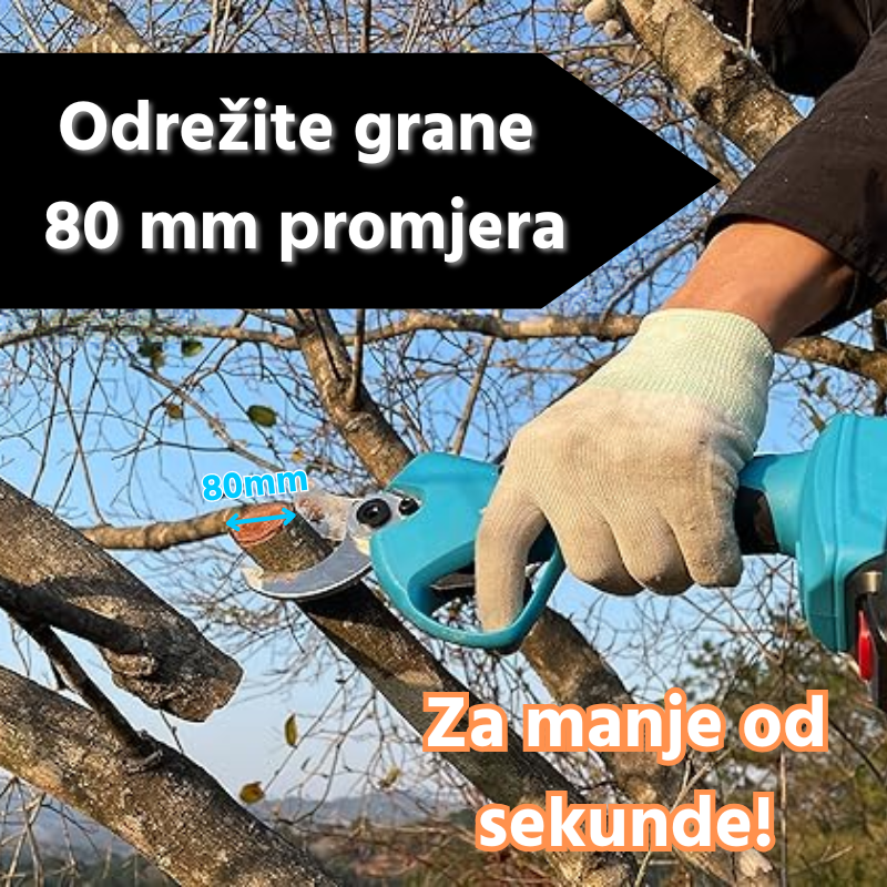 Copia di Copia di Aggiungi un titolo